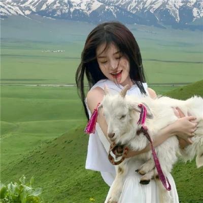 致我亲爱的马切洛